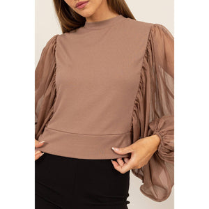 Sheer Sleeve Back Button Blouse