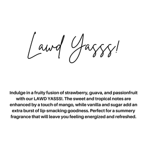 EVERYDAY CAR DIFFUSERS: SKIP LAUNDRY DAY