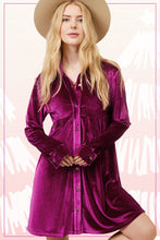 Soft Velvety Button Down Collar Dress