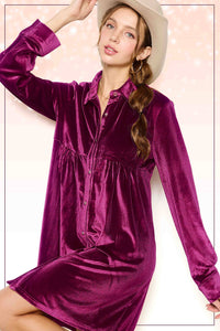 Soft Velvety Button Down Collar Dress
